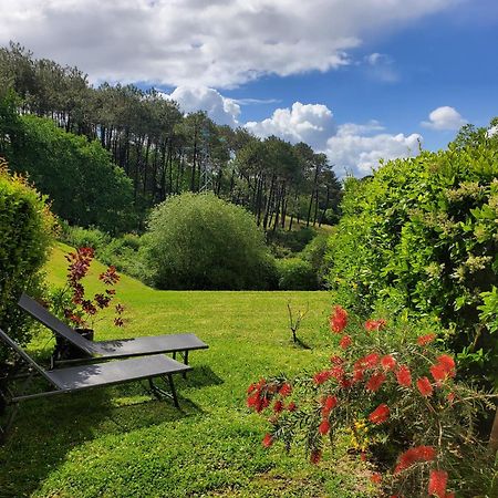 Appartement Calme Avec Jardin Bidart Biarritz מראה חיצוני תמונה