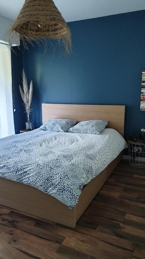 Appartement Calme Avec Jardin Bidart Biarritz מראה חיצוני תמונה