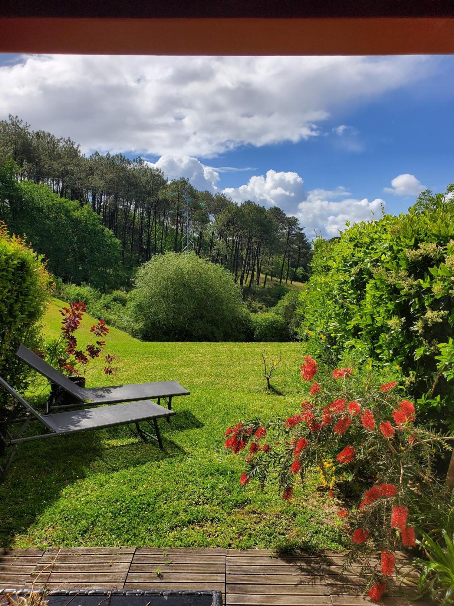 Appartement Calme Avec Jardin Bidart Biarritz מראה חיצוני תמונה